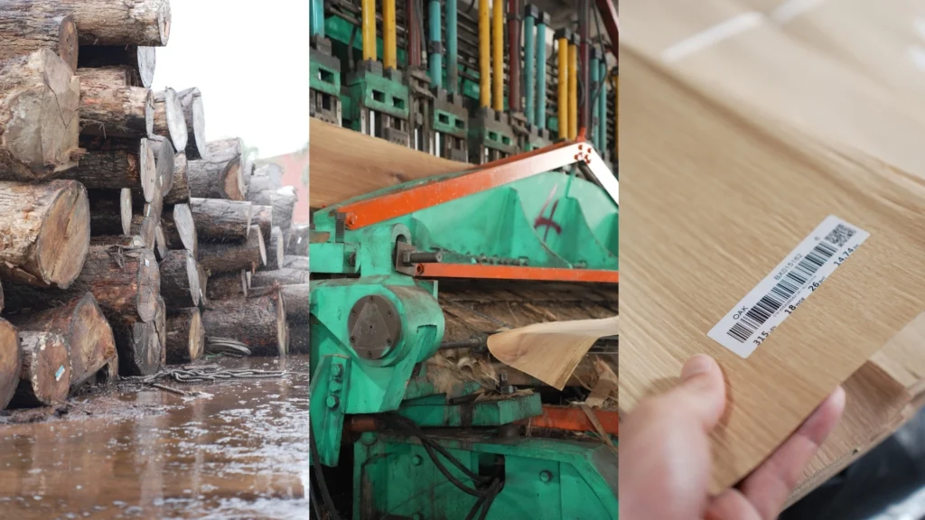 Heavy raw wood logs being processed and prepared for industrial conditioning at the QingShan Veneer manufacturing facility.