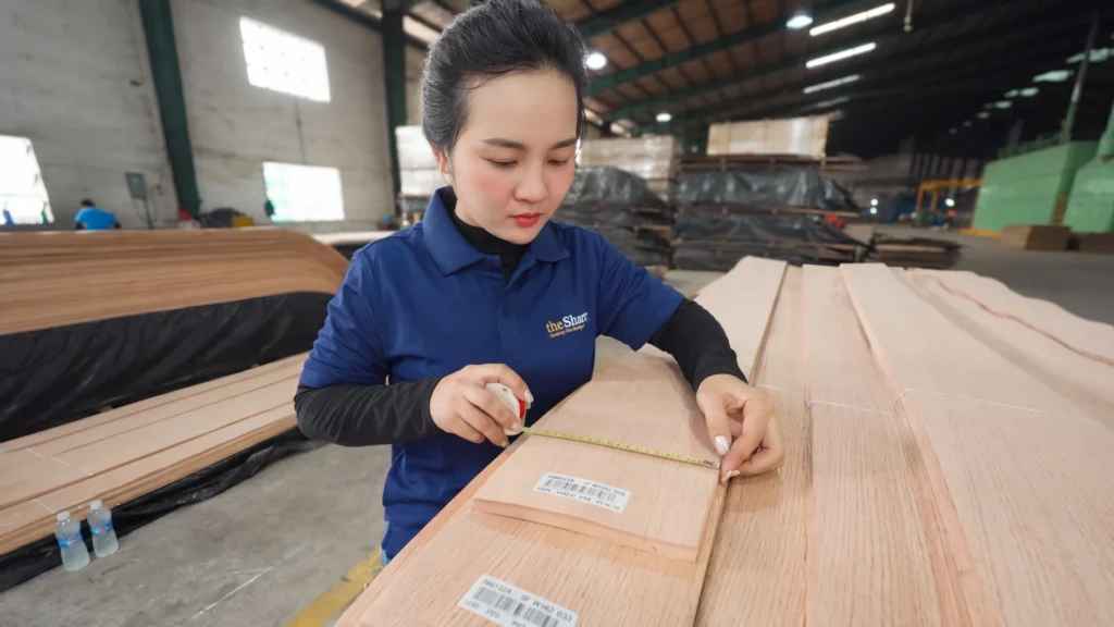 QC Manager Xiao Yin inspecting American White Oak and Black Walnut wood veneer surface quality at Phu San Furniture.