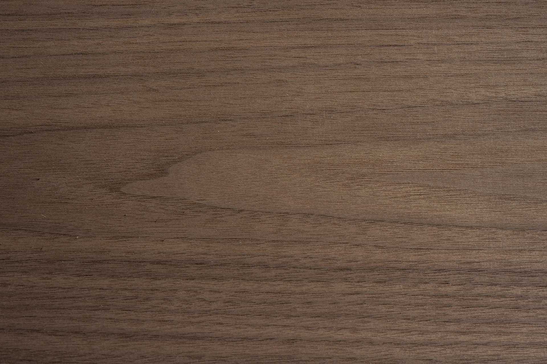 Detailed close-up texture of American Black Walnut crown cut veneer highlighting its elegant, organic cathedral arches and rich espresso tones.