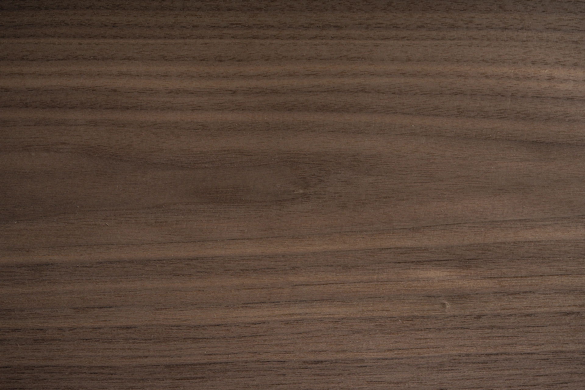 High-resolution surface texture of Crown Cut American Black Walnut wood veneer by theShaper, showing fine fiber and natural wood grain details.
