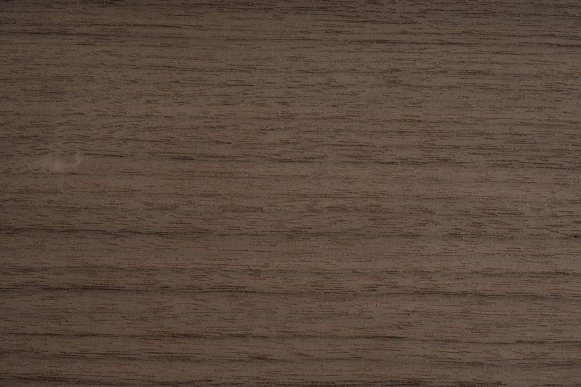 Macro details of raw, unvarnished American Black Walnut Rift Cut wood veneer pores and fibers by theShaper.