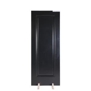 Front view of a Raised Panel Matt Black composited wood cabinet door featuring a smooth matte finish and traditional raised center panel architecture.