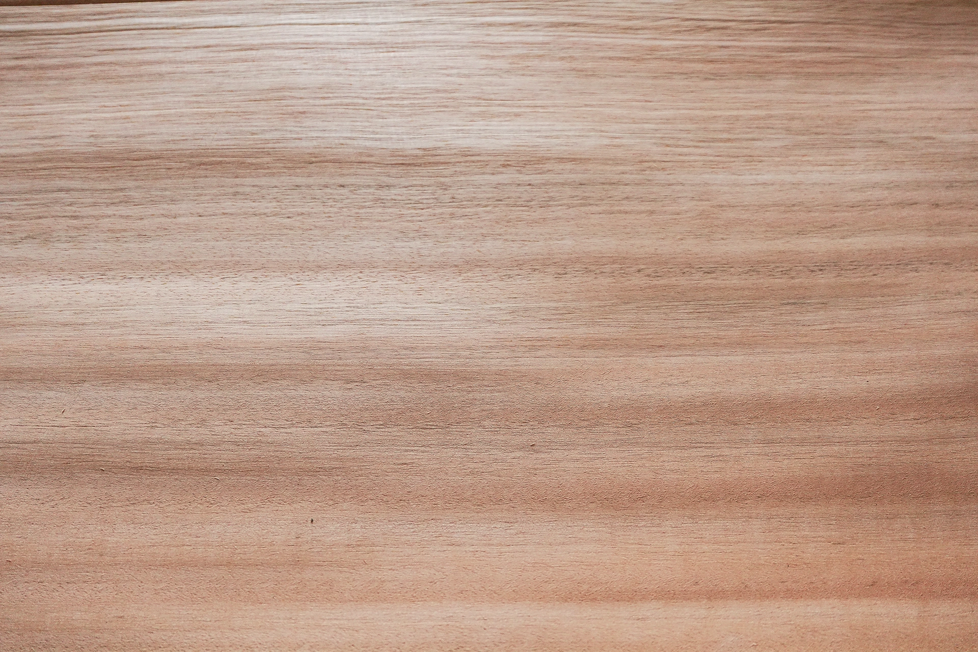 Macro texture photograph highlighting the porous, high-density wood fibers and uniform surface of Red Grandis quarter cut veneer.