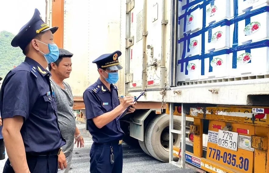 Visual analysis of Vietnamese Customs targeting origin fraud in the furniture supply chain, featuring an officer examining a 'Made in Vietnam' label and a sign referencing Directive 17552 at a port.